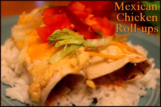 Mexican Chicken Roll-ups