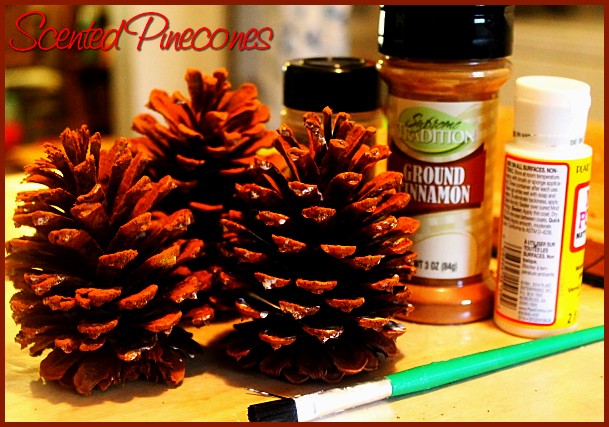 scented pine cones