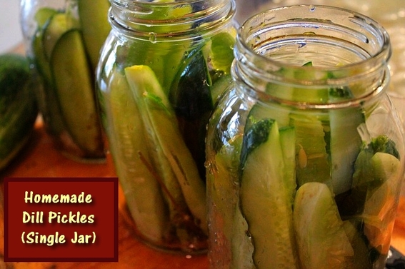 Dill Pickles - One Jar at a Time