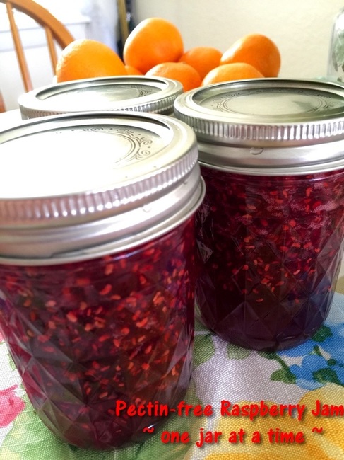 Raspberry Jam  - One Jar at a Time