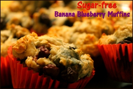Sugar-Free Banana Blueberry Muffins